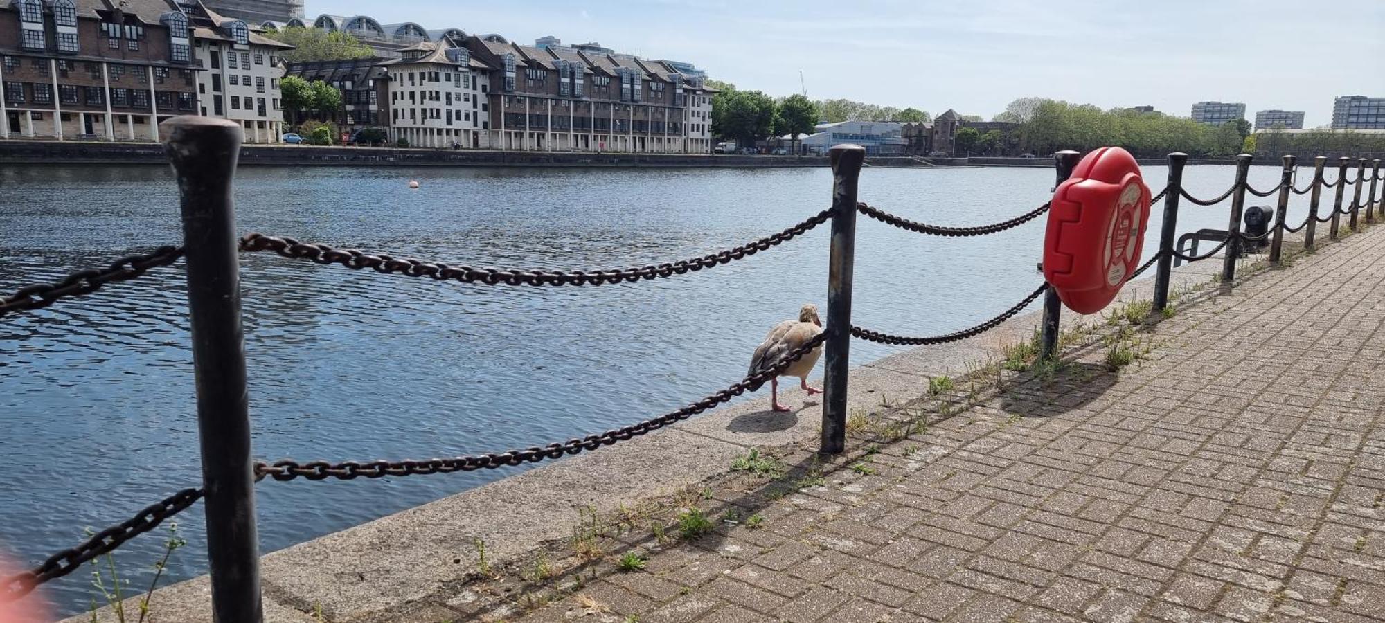 Riverside 3Br With Easy Transport 20Mins To City Centre Londres Extérieur photo