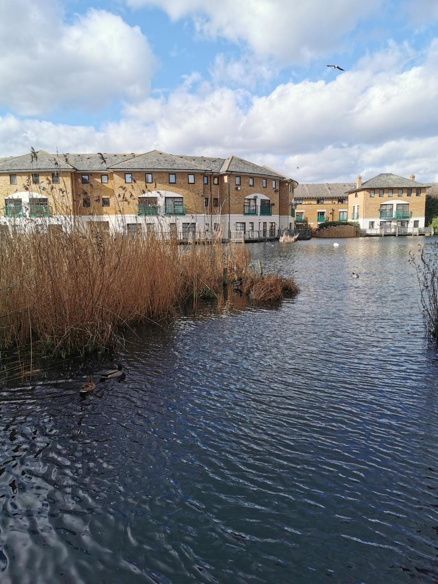 Riverside 3Br With Easy Transport 20Mins To City Centre Londres Extérieur photo
